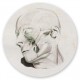 Anatomie II